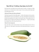 Tài liệu Bạn biết gì về những công dụng của đu đủ? pptx