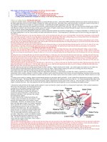 The cooling system of car