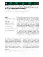 Tài liệu Báo cáo khoa học: Evidence that the assembly of the yeast cytochrome bc1 complex involves the formation of a large core structure in the inner mitochondrial membrane pdf