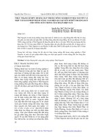 Tài liệu THỰC TRẠNG SỞ HỮU RUỘNG ĐẤT TRONG NÔNG NGHIỆP Ở THÁI NGUYÊN VÀ MỘT VÀI GIẢI PHÁP NHẰM NÂNG CAO HIỆU QUẢ QUYỀN SỞ HỮU RUỘNG ĐẤT CHO NÔNG DÂN TRONG GIAI ĐOẠN HIỆN NAY docx