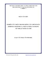 Nghiên cứu nhân nhanh giống cây chùm ngây (Moringa Oleifera L) chất lượng cao bằng kỹ thuật nuôi cấy mô