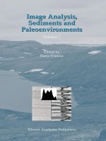 image analysis, sediments and paleoenvironments developments in paleoenvironmental research