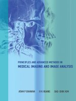 principles and advanced methods in medical imaging and image analysis (wsp, 2008)