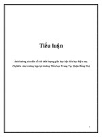 Tiểu luận: Ảnh hưởng của dân số tới chất lượng giáo dục bậc tiểu học hiện nay (Nghiên cứu trường hợp tại trường Tiểu học Trung Tự, Quận Đống Đa)