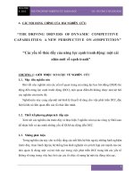 Các yếu tố thúc đẩy của năng lực cạnh tranh động: - một cái nhìn mới về cạnh tranh