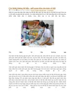 Các bệnh đường hô hấp