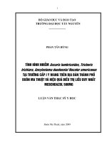 tình hình nhiễm ascaris lumbricoides trichuris trichiura ancylostoma duodenale necator americanus