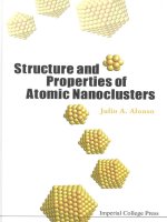 structure and properties of atomic nanoclusters, 2005, p.427