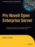pro novell open enterprise server (pro)