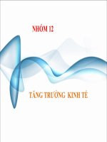 Thuyết trình kinh tế vĩ mô: Tăng trưởng kinh tế