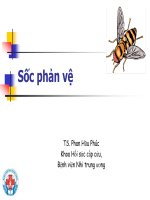 sock phản vệ