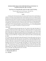 Đánh giá hiện trạng chăn nuôi trâu bò tại 2 xã kỳ bắc và kỳ đồng, huyện kỳ anh   hà tĩnh