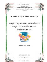 thực trạng thu hút đầu tư trực tiếp nước ngoài ở tỉnh gia lai