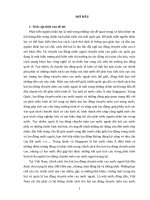 Chính sách thu hút lao động chuyên môn cao nước ngoài vào phát triển kinh tế của một số nước và bài học cho Việt Nam