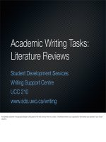 academic tasks   literature reviews   presentation