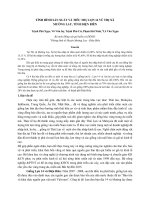 Tình hình sản xuất và tiêu thụ lợn 14 vú thị xã mường lay, tỉnh điện biên