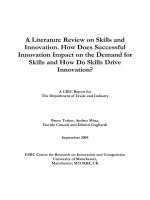 a literature review on skills and innovation how does successful innovation impact on the demand for skills and how do skills drive innovation