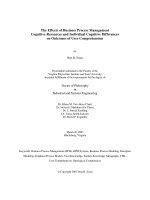 the effects of business process management cognitive resources and individual cognitive differences on outcomes of user comprehension