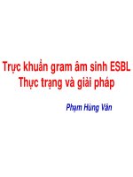 Trực khuẩn gram âm sinh esbl - thực trạng và giải pháp