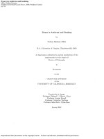 essays in antitrust and banking