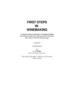 first steps in winemaking 3ed - berry + homebrew in practive - wakefiled