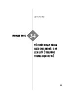 Tổ chức hoạt động giáo dục ngoài giờ lên lớp ở trường Trung học cơ sở  Lê Thanh Sử