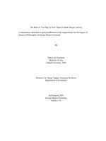 the role of ''too big to fai'' status in bank merger activity