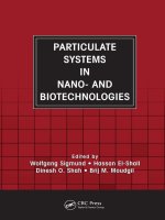 particulate systems in nano- and biotechnologies, 2009, p.426