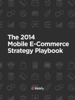 2014 Mobile E-Commerce Strategy Playbook