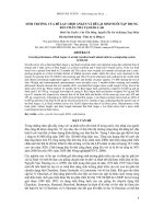 Báo cáo khoa học về bê lai ½ Red augus và bê lai Sind