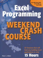 excel programming weekend crash course®