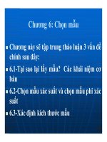 Bài giảng Phương pháp nghiên cứu khoa học - Chương 6: Chọn mẫu