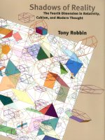 yale university press shadows of reality the fourth dimension in relativity cubism and modern thought mar 2006