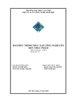 Bài phúc trình báo cáo thực tập công nghệ len men thực phẩm