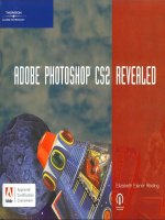 adobe photoshop revealed apr 2005