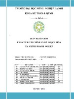 Tiểu luận tài chính doanh nghiệp: Phân tích tài chính và kế hoạch hóa tài chính doanh nghiệp