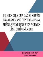 sự hiện hiện của các vk âm mang men bla tại bv nguyễn đình chiểu 2011