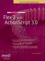 the essential guide to flex 2 with actionscript 3.0
