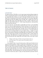 chế định kiểm sát trong thi hành án dân sự