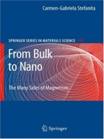 from bulk to nano. the many sides of magnetism, 2008, p.188