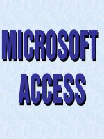 Bài giảng Microsoft access