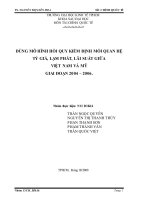 Tiểu luận tài chính quốc tế: Dùng mô hình hồi quy kiểm định mối quan hệ tỷ giá, lạm phát, lãi suất giữa Việt Nam và Mỹ giai đoạn 2004  2006