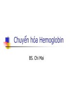 Bài giảng chuyển hóa hemoglobin   BS  chi mai