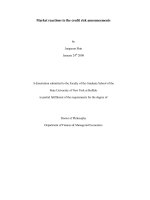 market reactions to the credit risk announcements