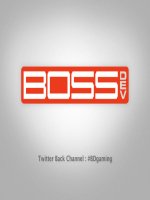 Branded Social Media Game :The developer guide