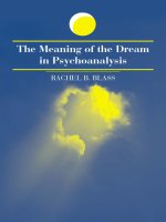 state university of new york press the meaning of the dream in psychoanalysis apr 2002