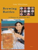 brewing battles - a history of american beer 2008 - mittleman