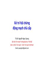 Bài giảng xử trí hội chứng động mạch chủ cấp   TS BS  nguyễn ngọc quang