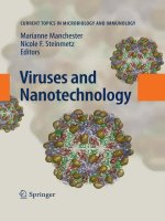 viruses and nanotechnology