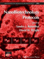 methods in molecular biology, v.303. nanobiotechnology protocols, 2005, p.242